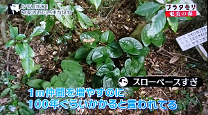 aoi30