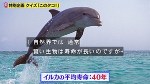 あ６７