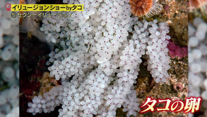 あ９１