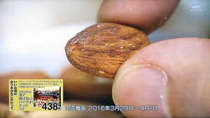 chira49