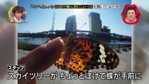 kawabe4