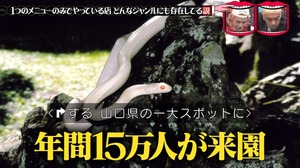 a18