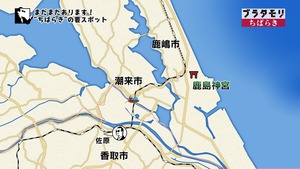 a55