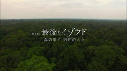 ｎｈｋスペシャル 大アマゾン 8月7日放送 第4集 最後のイゾラド Halohalo Online