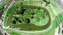 kofun50