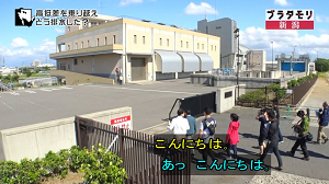 nigata29