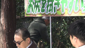 siriha33