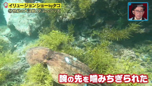 あ７４