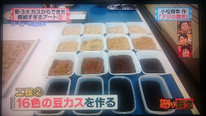 kasu21