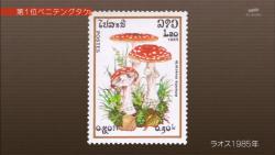kinoko14