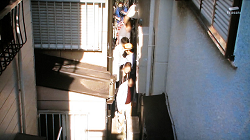 jujo25