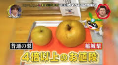 inagi