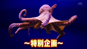 あ４９