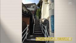 ocha43