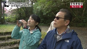 aoi38