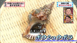 umakai22