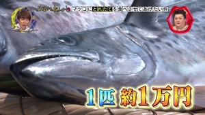 sa4