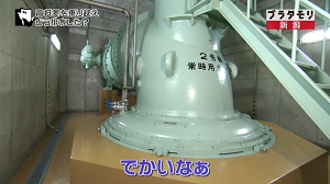 nigata30