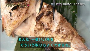 nodoguro8