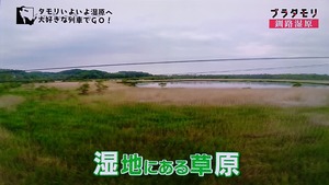 a23