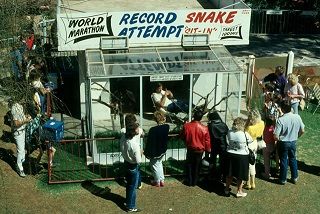 Austin World Record Snake _sit-in__ 107 days and nights in c
