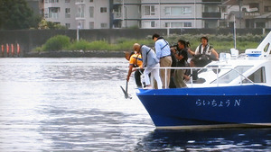 ikari29
