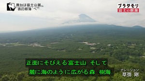 jukai3