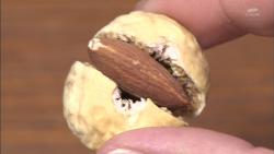 nuts33