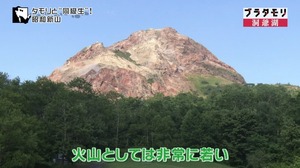 t8