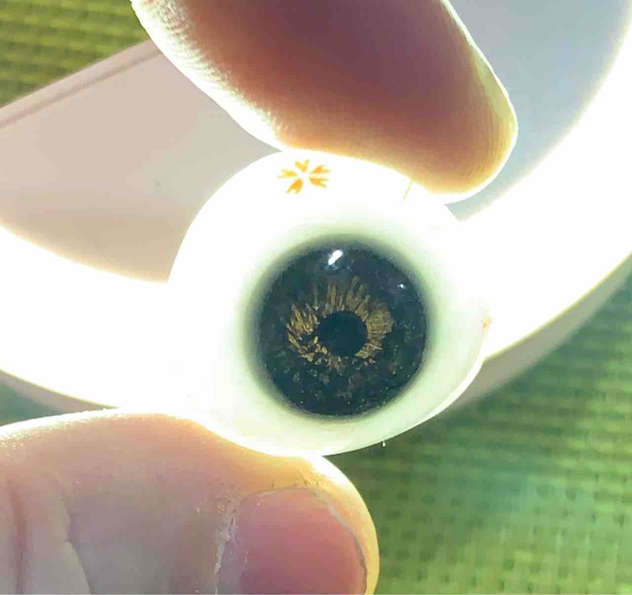 やさしい義眼のつくりかた How to make artificial eye and prosthesis : ナマ感