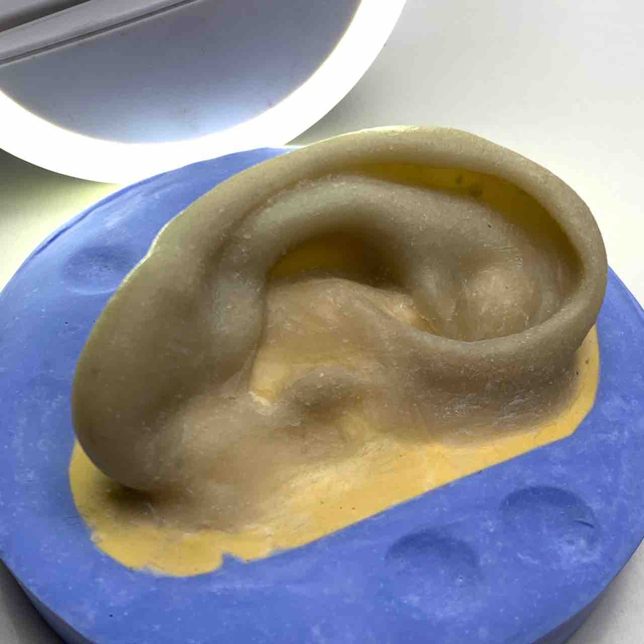 赤ちゃん 子ども 大人の耳 やさしい義眼のつくりかた How To Make Artificial Eye And Prosthesis 赤ちゃん 子ども 大人の耳 やさしい義眼のつくりかた How To Make Artificial Eye And Prosthesis