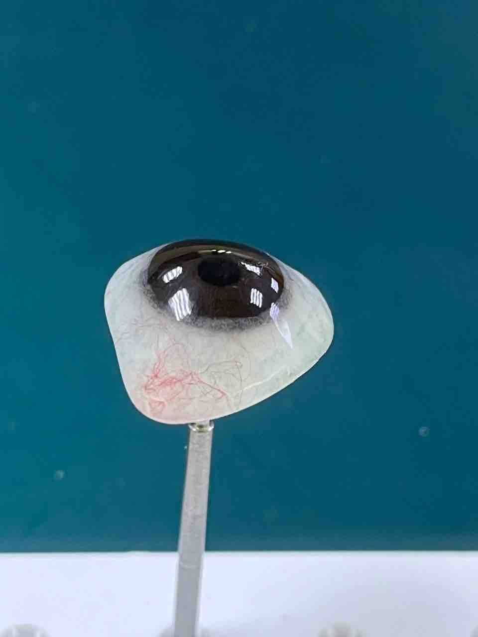 やさしい義眼のつくりかた How to make artificial eye and prosthesis : 義眼セット