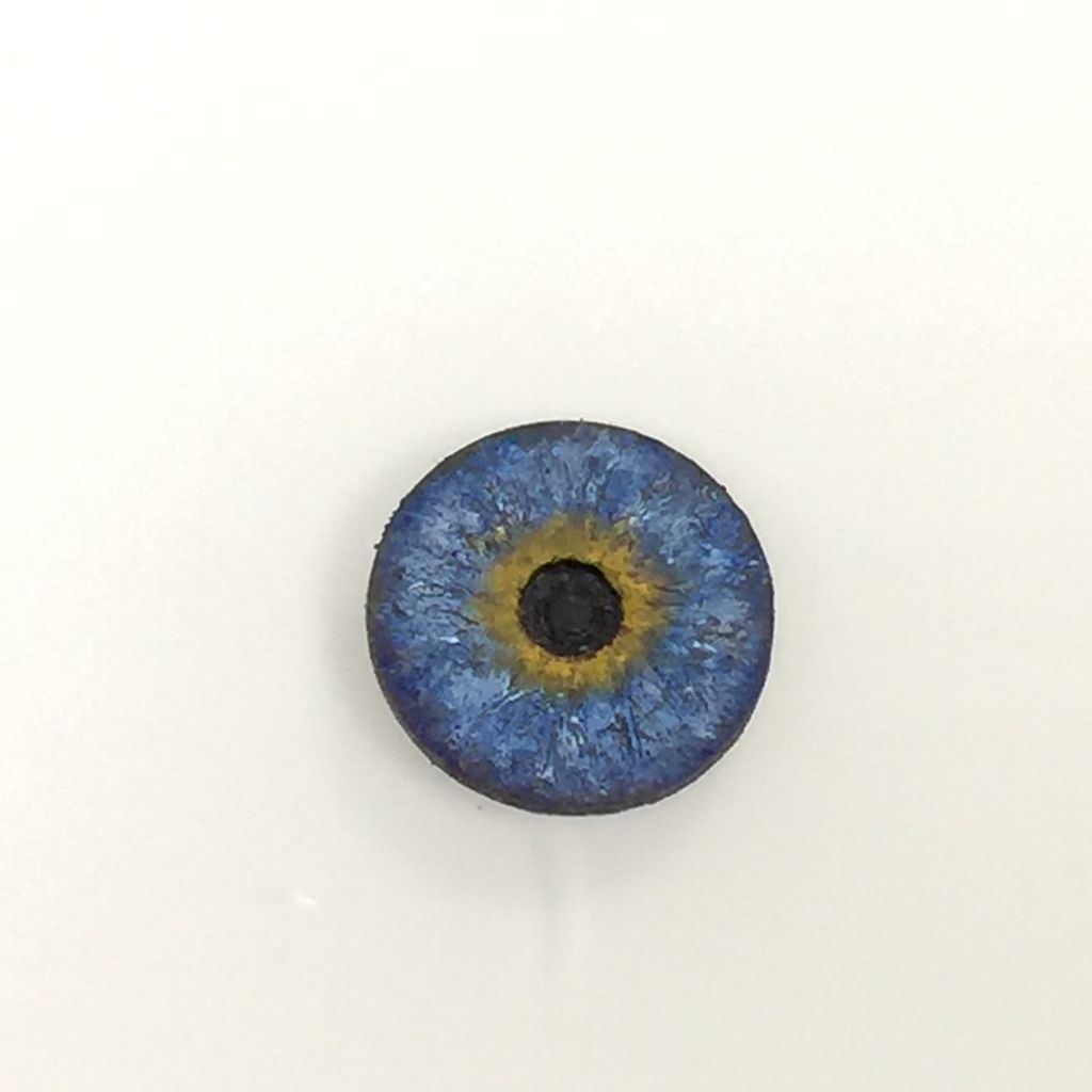 青い目に魅かれて : やさしい義眼のつくりかた How to make artificial 