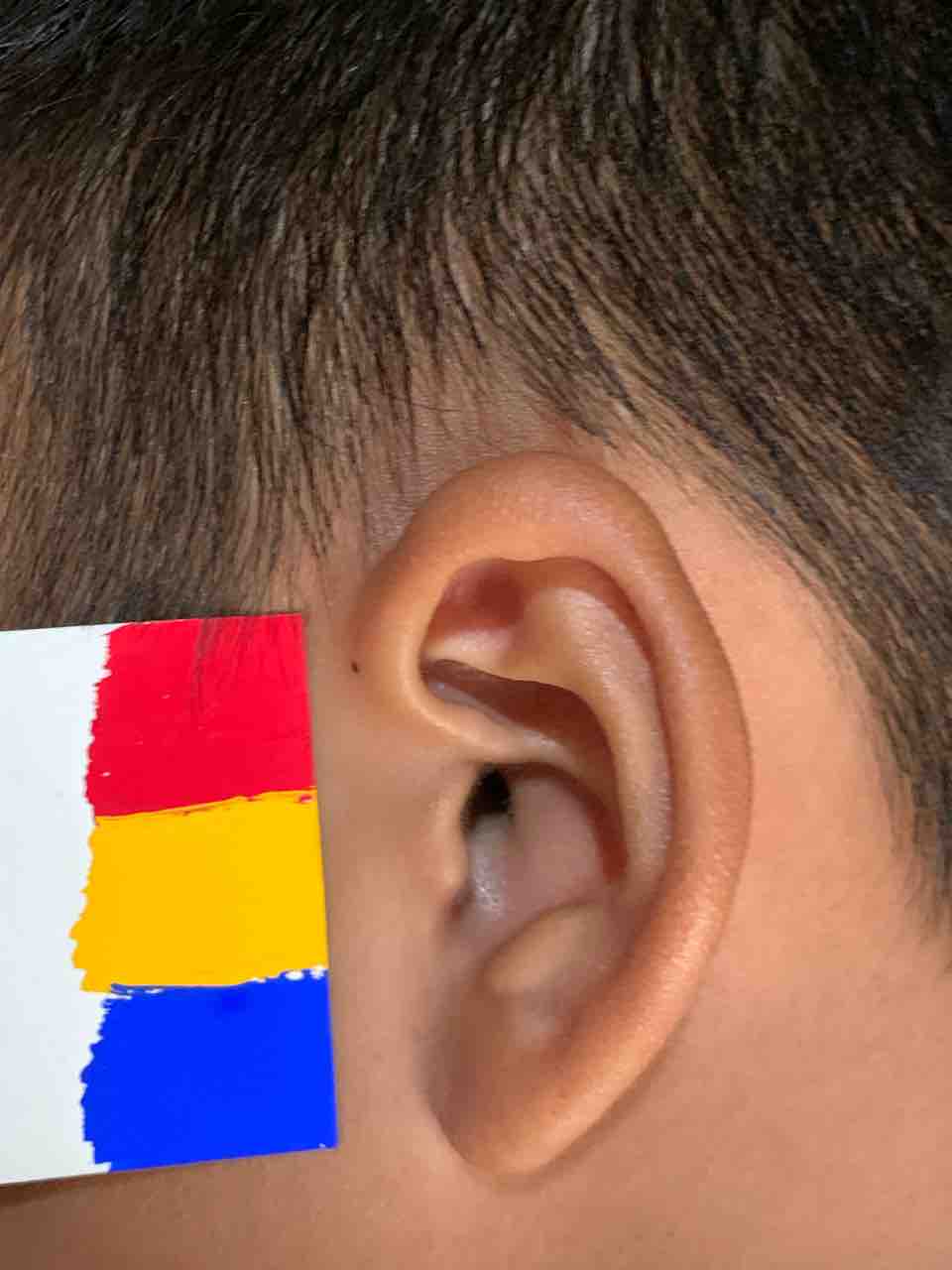 皮膚の色 備忘録 やさしい義眼のつくりかた How To Make Artificial Eye And Prosthesis