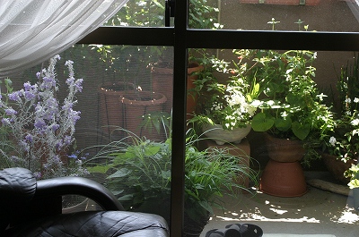 坪庭風に 風と光のバルコニー