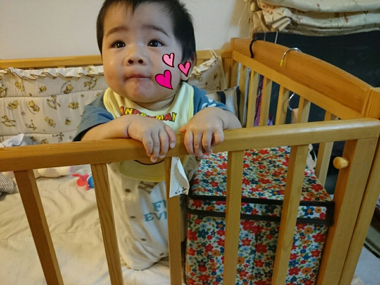 お座りとつかまり立ちと買い物と ハス柴にゃんこと5歳差姉弟 お座りとつかまり立ちと買い物と ハス柴にゃんこと5歳差姉弟