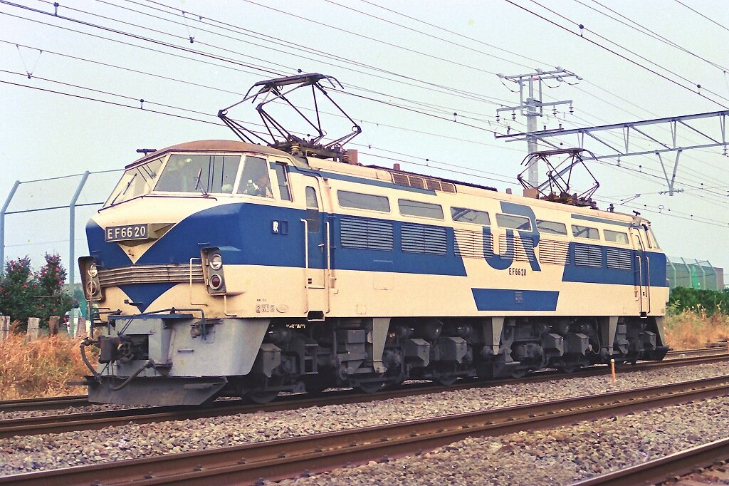 EF66 20(JR貨物試験塗装) | dynamic_d Museum | MUUSEO 869678