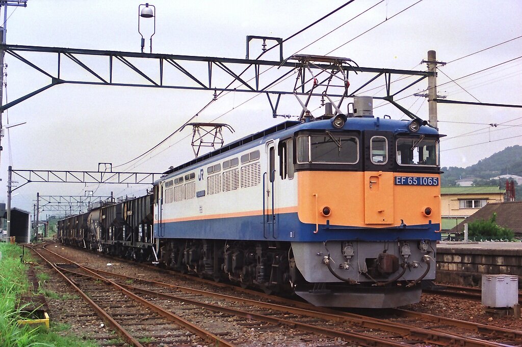 LM P1【A1778】EF65-1065 (JR貨物試験塗装) EF65 1065(JR貨物試験塗装) の展示中 || Museum of daicha41