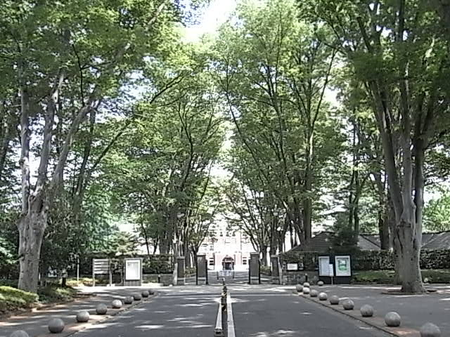 食 五日市街道はグルメロード 食 歩 観 宿
