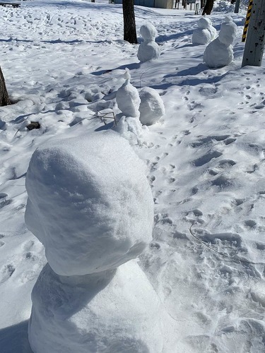 小雪だるま群