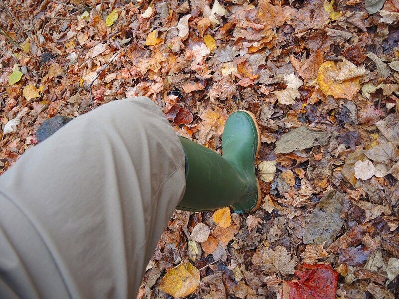 股下42センチ さくさく山日記