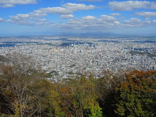 藻岩山・円山・三角山 : さくさく山日記