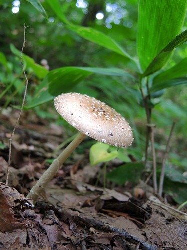 ŷ餵