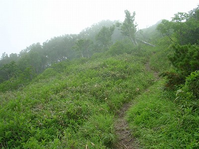 볦