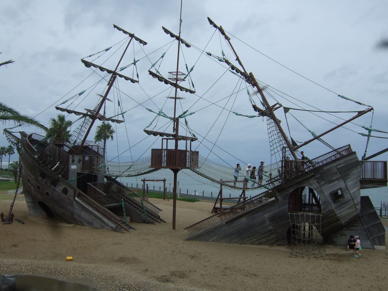 ｒ０３０８２７広野海浜公園 すみれの里２