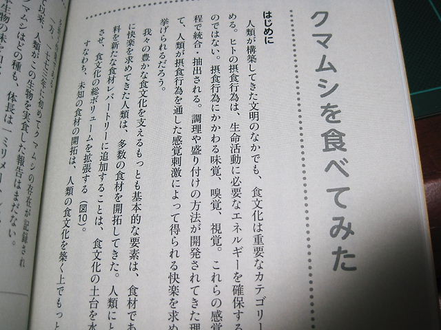 イメージ 6