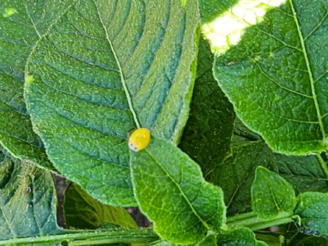 20260505_075105