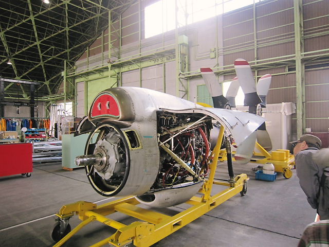 イメージ 11