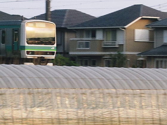 イメージ 4