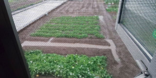 台風15